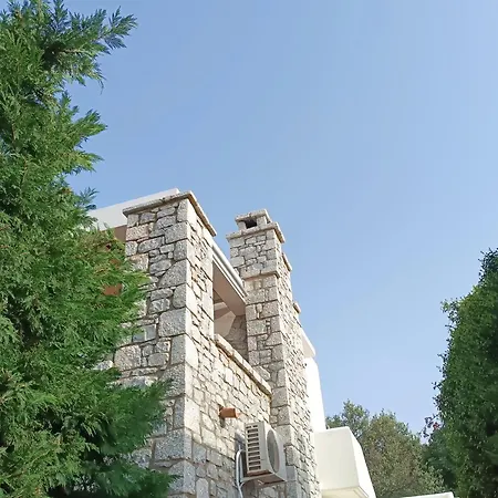 Malvazios #7